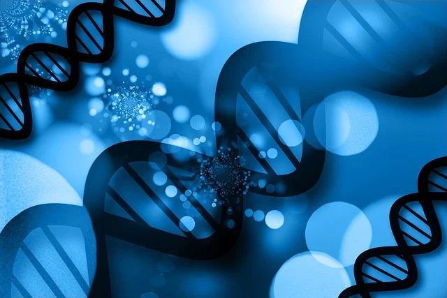 雙(二甲氨基丙基)異丙醇胺在汽車座椅、內(nèi)飾件和床墊制造中的應(yīng)用